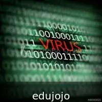 Fake Virus