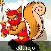 Ninja Cat