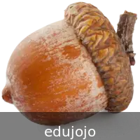 Nut Simulator